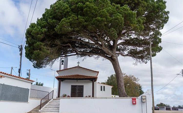 Festa em Honra de Nª Sra. da Assunção