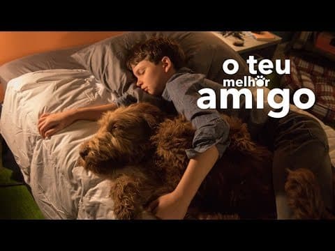 Cinema: O Teu Melhor Amigo — Cinefreguesias em Santa Bárbara (2026)