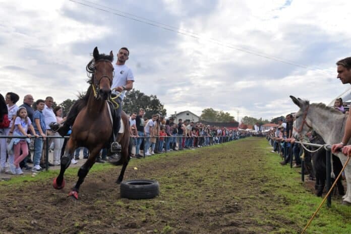 Festas de São Bento, em Cerdal